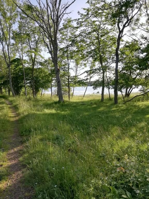 Дома для отпуска Mysig stuga nära havet och naturreservat Jomala-29